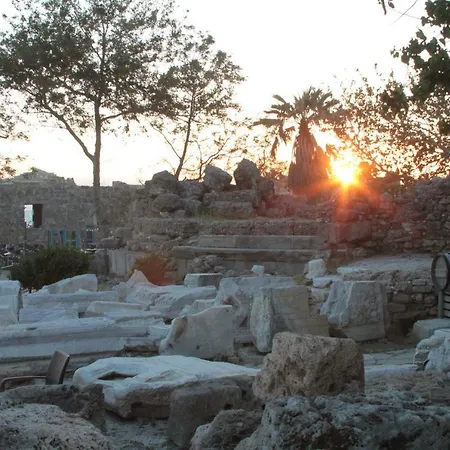Elit Koseoglu Σιντέ