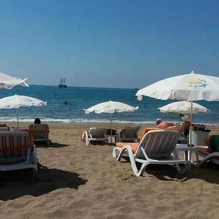 Elit Koseoglu