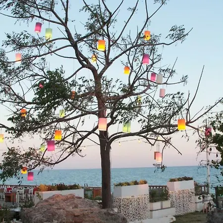 Hotel Elit Koseoglu